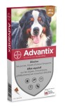 Advantix Grand Chien Spot On 25-40 Kg 4 pipettes